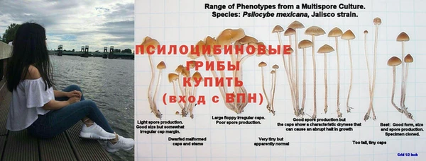 Альфа ПВП Баксан