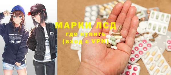 хмурый Белокуриха