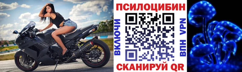 дарнет шоп  Видное  дарк нет состав  Галлюциногенные грибы Psilocybine cubensis 